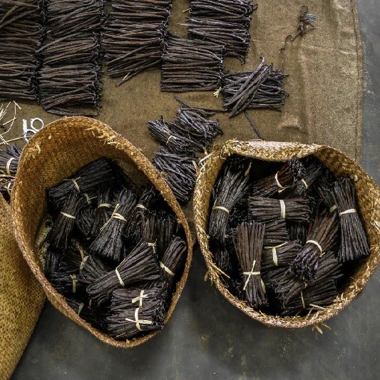 Vanilla beans producers